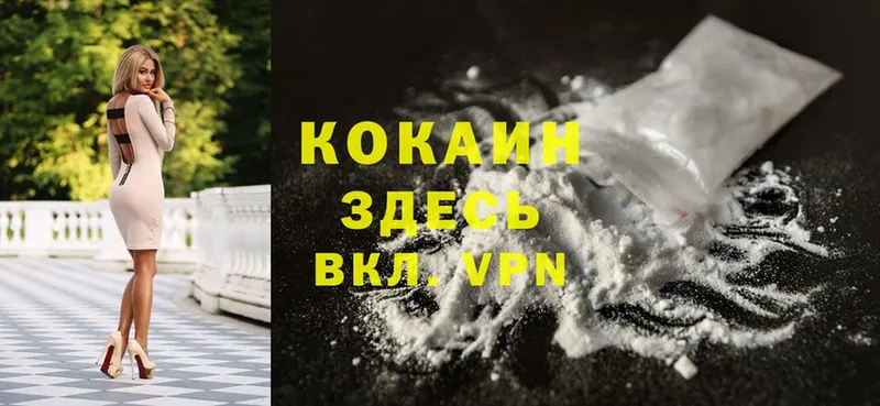 где купить наркоту  Кузнецк  МЕГА зеркало  Cocaine 97% 