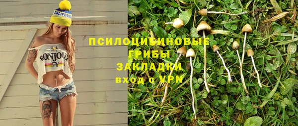 дурь Нефтекумск