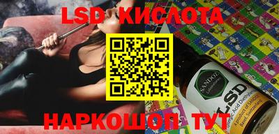 крисы Гагарин