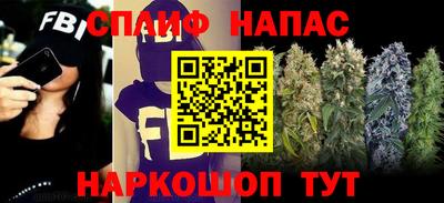 крисы Гагарин
