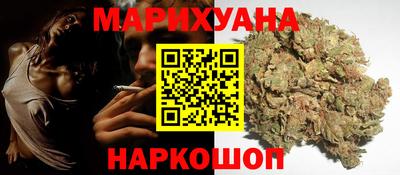 крисы Гагарин