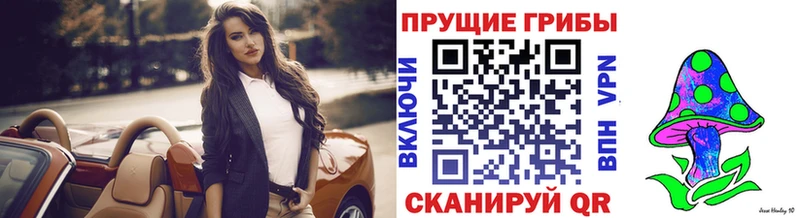 наркотики  Кузнецк  Галлюциногенные грибы Psilocybe 