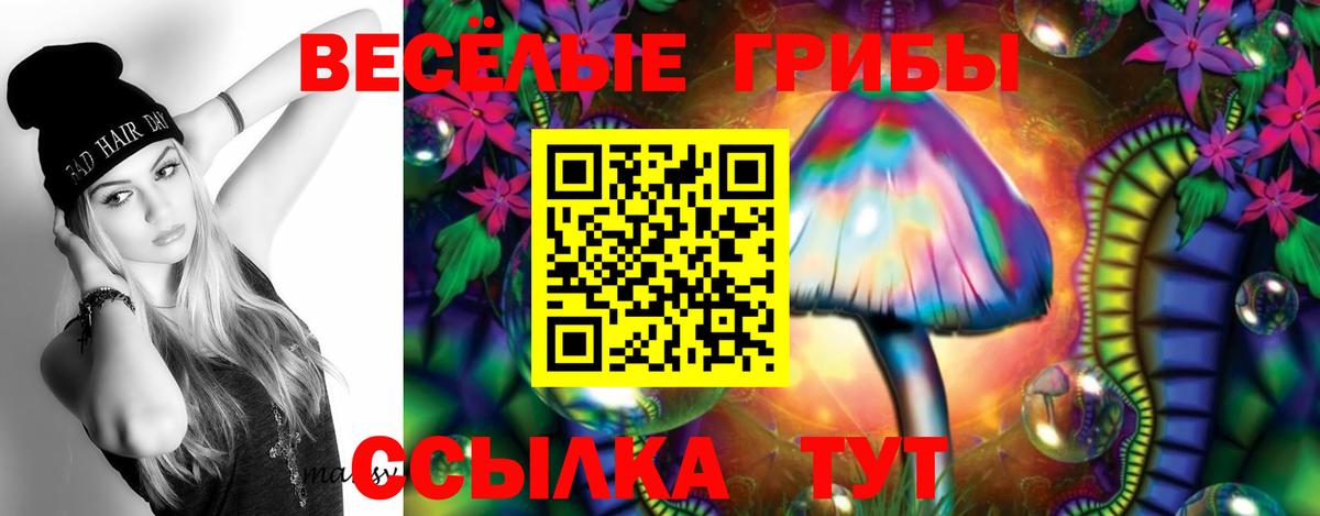 Псилоцибиновые грибы GOLDEN TEACHER Кузнецк